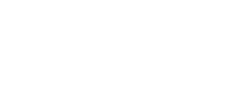 Jewel Line Ballet Sneakers lite
